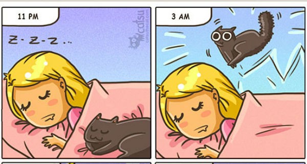 10 benzi desenate care arată cum este să trăiești cu o pisică