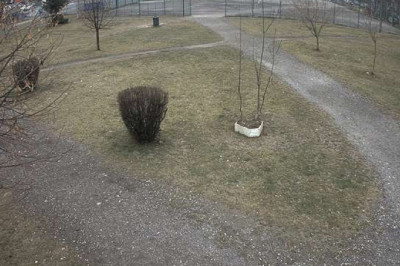 Webcam Brașov - cameră live Centrul Civic - stadion